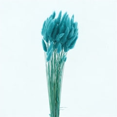 Droogbl Bewerkt H% 60cm 60gram