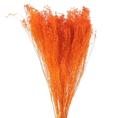 Droogbl Bewerkt H% 55cm 100gram