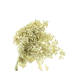 Schinus M Dec Bes Bs 30cm 200gram