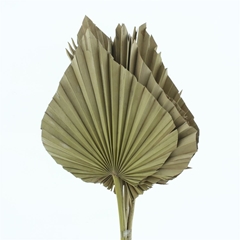 Dried Flowers 100 Gram 55cm