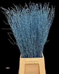 Betula / Berkentak Metallic Blue