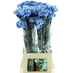 Di St Ov Klb 21% 70cm 23