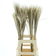Dried Flowers 100 Gram 75cm