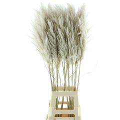 Droogbl Bewerkt H% 110cm