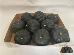 Cucurbita Other