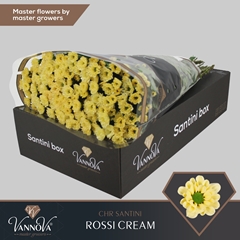 Chr San Rossi Cream 55cm 110g
