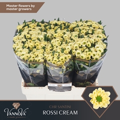 Chr San Rossi Cream 55cm 110g