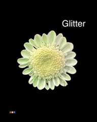 Chr T Stallion Dusty Mint + Glit Bio