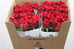 Ende Romantic Xl 70cm Romantic