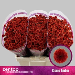 Chr S Kismo Amber 55cm 110g