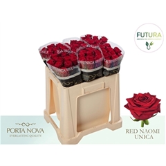 R Gr Red Naomi! Unica