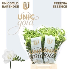Fr Du Essence 52cm 24gram 23