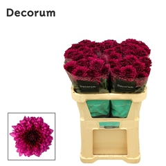 Chr G Lamira 70cm 80gram