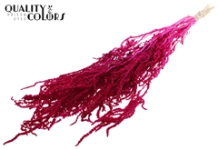 Hang Amar Pres. Lilac 80cm