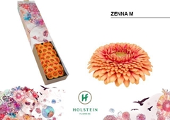 Ge Mb Gerp Zenna M 45cm 7cm Ø