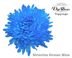 Chr G Stravina Ocean Blue