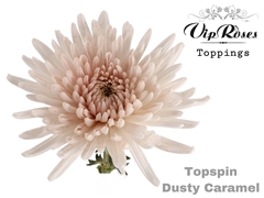 Chr G Topspin Dusty Caramel
