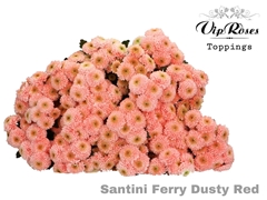 Chr S Ferry Dusty Red