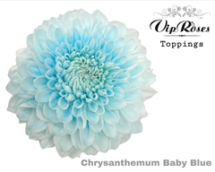 Chr G Baby Blue