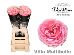 R Gr Villa Multibelle