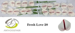 Anth A Fresh Love 9cm Ø