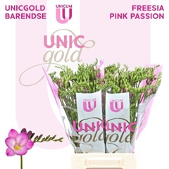 Fr En Pink Passion 52cm 22gram 23