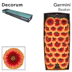 Ge Mb Pom Beaker 45cm 7cm Ø