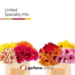 Ge Gr Other 50cm 10cm Ø