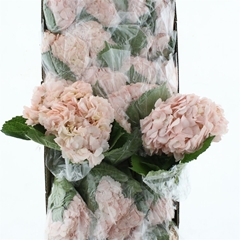 Hydr Other 60cm 19cm Ø