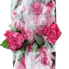 Hydr Other 60cm 19cm Ø
