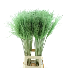 Siergr Ov Klb H% 90cm