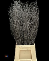 Betula / Berkentak Metallic Black