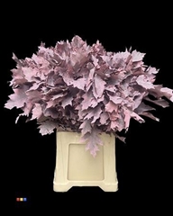 Eikeblad Frosted Pink 80cm