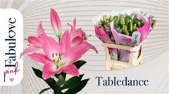 Li Ot Tabledance 90cm 40+