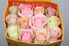 R Gr Mixed In Bunch Pastel 60cm