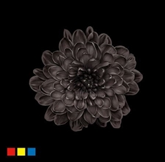 Chr T Altaj Black