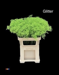 Gyps Million Star Green + Glit Bio