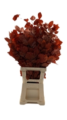 Decorgr Klb Pb 21% 75cm