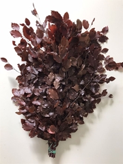 Decorgr Klb Pb 21% 75cm 150gram