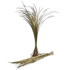 Xerophyl Klb Bs 21% 60cm
