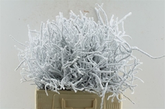 Heidelbeer Geverfd 50cm