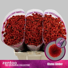 Chr S Kismo Amber 55cm 100g