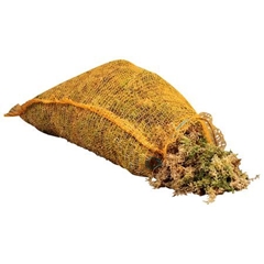 Sphagnum (VEENMOS)