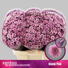 Chr S Kismo Pink 55cm 110g