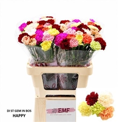 Di St Gem In Bunch 60cm 23