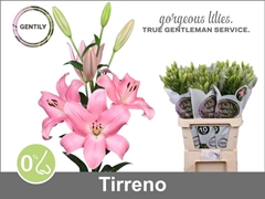Li La Tirreno 90cm 45+