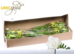 Fr Du Essence 52cm 24gram 13
