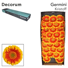 Germini Kristoff+ 45cm 7cm Ø