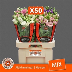 Eust G Gem 70cm