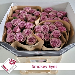 R Gr Smokey Eyes 60cm
